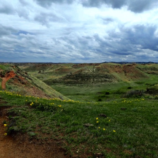 Loop Road View